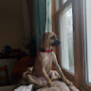 Meet your Posher, Sharon